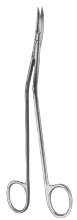 Dandy Dissecting Scissors 17cm/6 3/4"