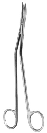 Dandy Dissecting Scissors 17cm/6 3/4"