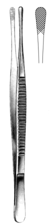 Wangensteen Dressing Fcps 23cm