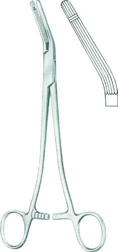 Garland Clamp Forceps BJ 21cm/8 1/4"