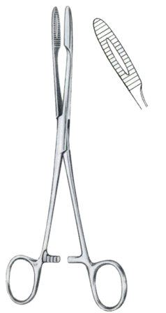 Gross-Maier Polypus Forceps BJ Curved  25cm/10" With Ratchet