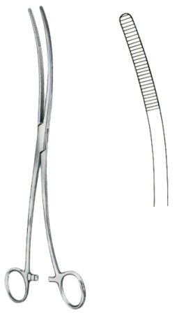 Bozemann Cotton Swab Forceps BJ Double Curved 26cm/10 1/4"