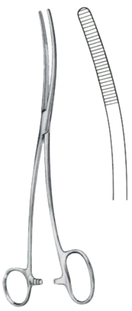 Bozemann-Douglas Cotton Swab Forceps BJ Double Curved 26cm/10 1/4"