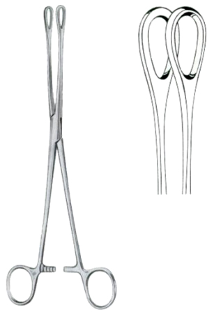 Foerster Sponge Holding Forceps BJ Straight 18cm/7" Smooth