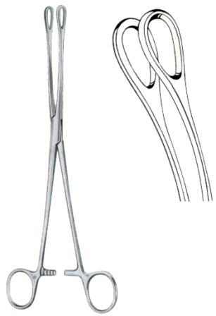 Foerster Sponge Holding Forceps BJ Curved 25cm/10" Smooth