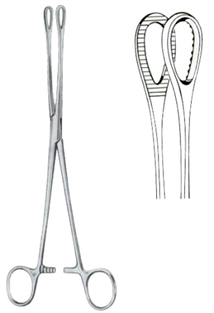Foerster Sponge Holding Forceps BJ Straight 20cm/8" Serrated