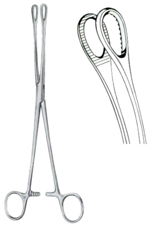Foerster Sponge Holding Forceps BJ Curved 18cm/7" Serrated