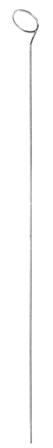Strippers Endarterectomy   2.0mm 55cm/21 1/2"