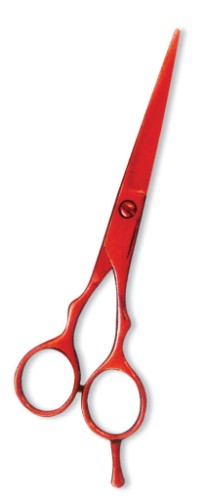 Professional Barber Scissors