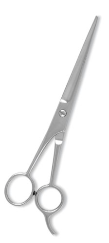 Professional Barber Scissors