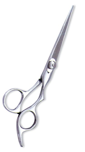 Professional Barber Scissors