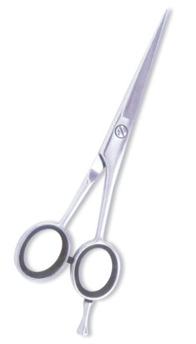 Professional Barber Scissors