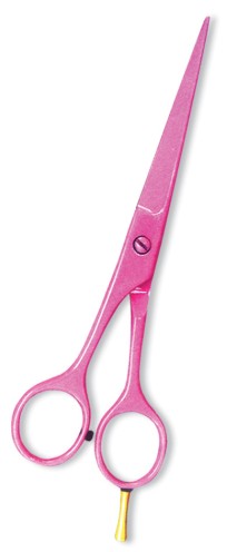 Professional Barber Scissors