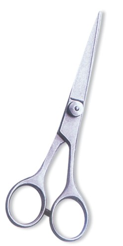 Professional Barber Scissors