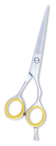 Professional Barber Scissors