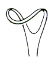Wound Retractors 12mm 16cm/6 1/4"