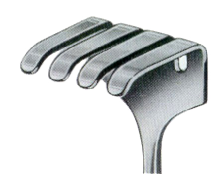 Isreal Retractors 4 Prongs 40x40mm 25cm/10"