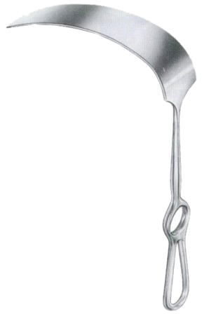 Kelly Retractors 160x38mm 27cm/10 1/2"