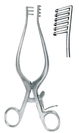Weitlaner Retractors 5x6 Teeth Blunt 25cm/10"