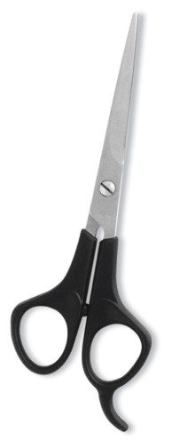 Professional Barber Scissors
