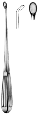 Bruns Bone Curettes 23cm/9" Fig #   5 C