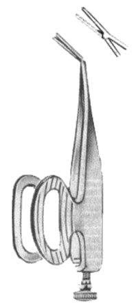 Barraquer Anterior Chamber Forceps 5.5cm/2 1/4"