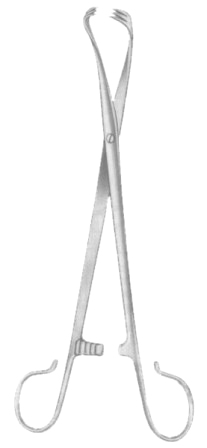 Marschik Kroni Tonsil Seizing Forceps 20.5cm/8"