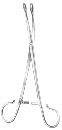 Blohmke Tonsil Seizing Forceps 20cm/8"