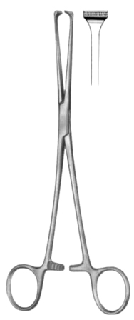 Allis-Atrauma Tissue Forceps BJ 25cm/10"