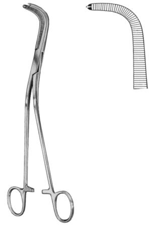 Gray Gall Duct Forceps BJ 1:2 23cm/9" Fig # 2