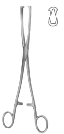 Museux Tenaculum Forceps BJ 2:2 Straight   6mm 24cm/9 1/2"