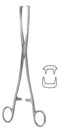 Museux Tenaculum Forceps BJ 2:2 Straight 10mm 24cm/9 1/2"