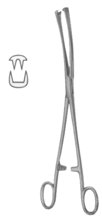 Museux Tenaculum Forceps BJ 2:2 Curved Sideway   8mm 24cm/9 1/2"