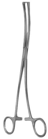 Iowa Tenaculum Forceps BJ 26cm/10 1/4"