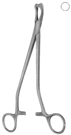 Thoms-Gaylor Cervical Biopsy and Specimen Forceps BJ   24cm/9 1/2"