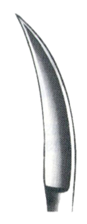 Dissecting Knives 17cm/6 3/4" Fig # 40