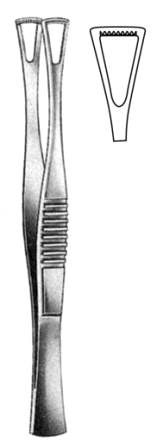 Duval Tissue Fcps 10mm, 14.5cm