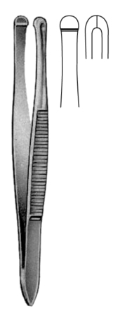 Beer Cilia Fcps 9cm