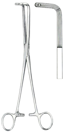 Finocchietto Gall Stone Clamps BJ 24cm/9 1/2"