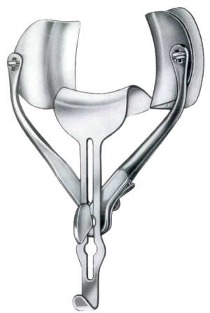 Lateral Blades 30cm/12" Fig # 2