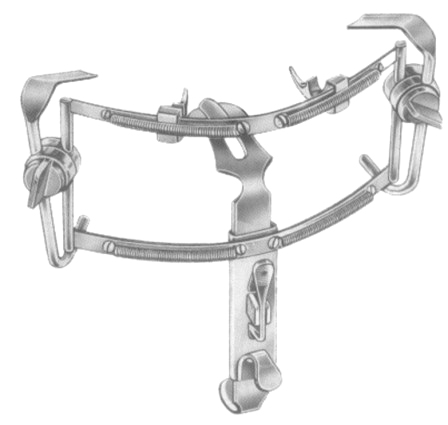 Dingmann Mouth Gags (Gag Only)