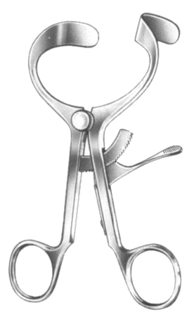 Molt Mouth Gags 11cm/4 1/4"
