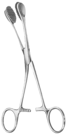 Young Tongue Depressors and Forceps 17cm/6 3/4"