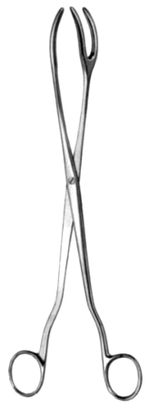 Sterilizing Fcps 1x2pr 30cm