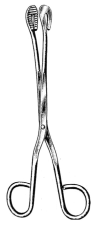 Universal Sterilizing Fcps str 20cm