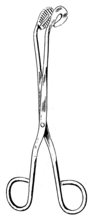 Universal Sterilizing Fcps cvd 28cm